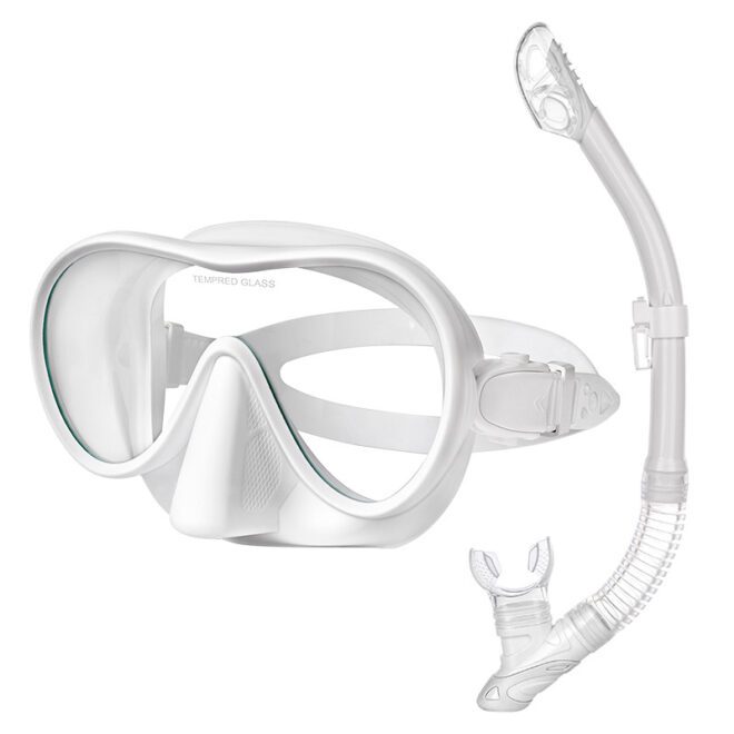 diving mask with snorkel