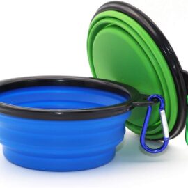 Hot Selling Pet Collapsible Bowl Portable Dog Food Bowl for Walking Traveling