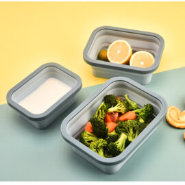 Best for outdoor schools collapsible silicone bento box