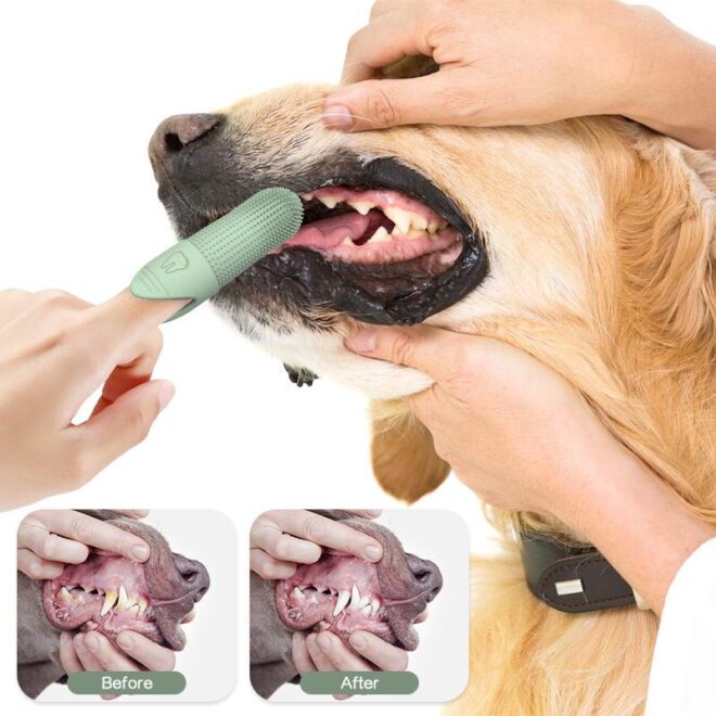 dog finger toothbrush2