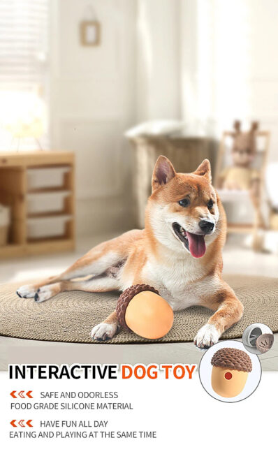 dog toy ball feeder