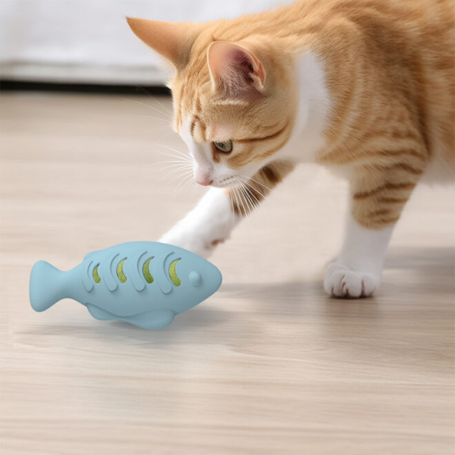 fish cat toys