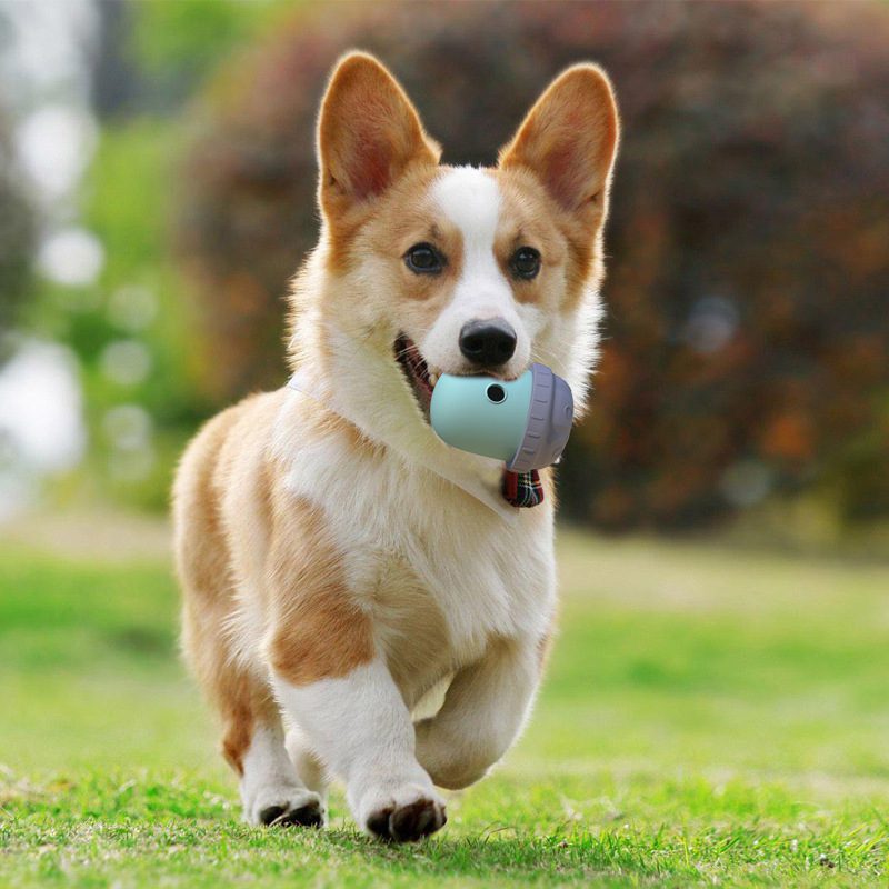 personalized silicone pet feeder training toys