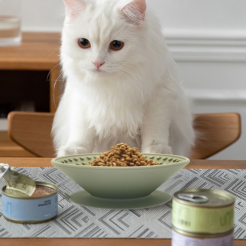 slow feeder dog bowl